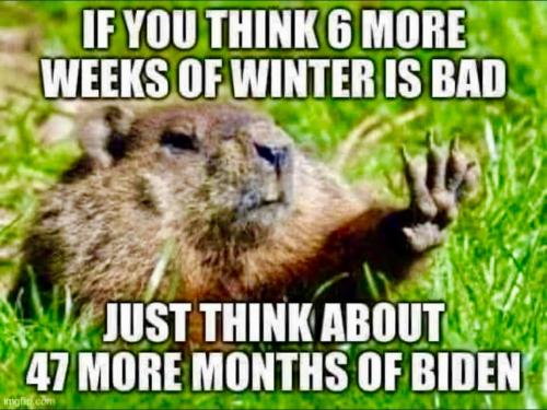 D1100335-B5E4-46A4-976E-6353F71457E5