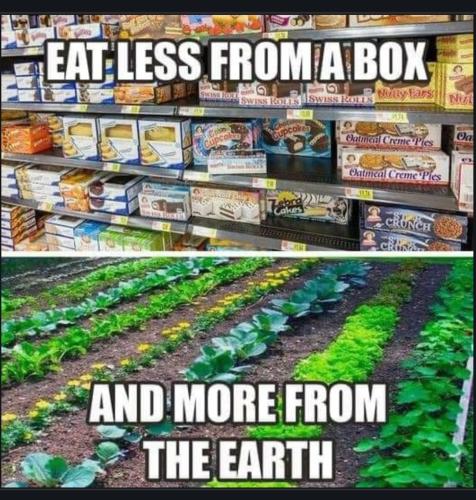 Screenshot_20230209_073928_Chrome