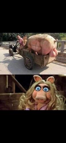 FB_IMG_1676077755295