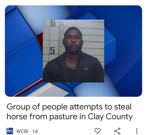 Screenshot_20230221-163018_Google