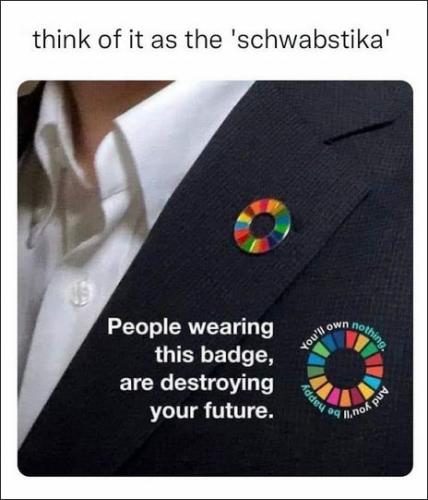 klaus schwab11