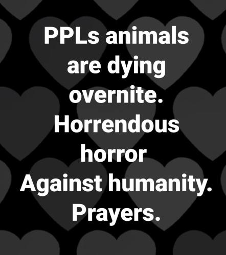 19:52:10 GMT-0500 (EST)