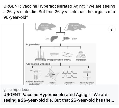 A3A51E35-1FF8-4DC6-8A42-B8550BC2F5E5