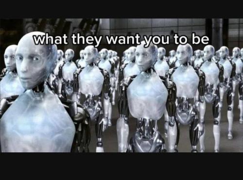 Screenshot_20230204_123305_YouTube