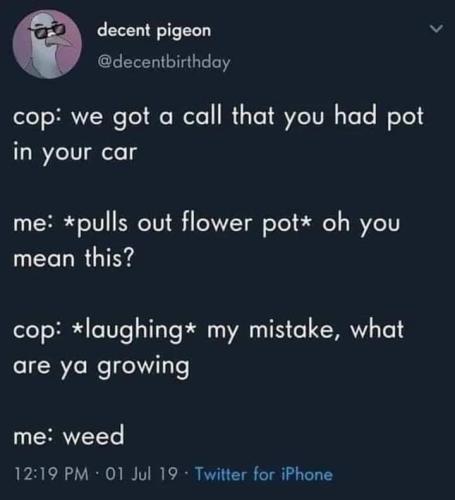 flower pot