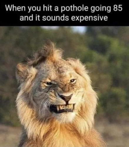 FB_IMG_1677280168055