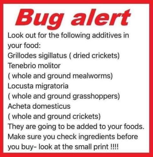 Bug Alert