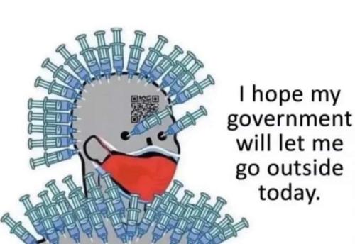 FB_IMG_1677532104897