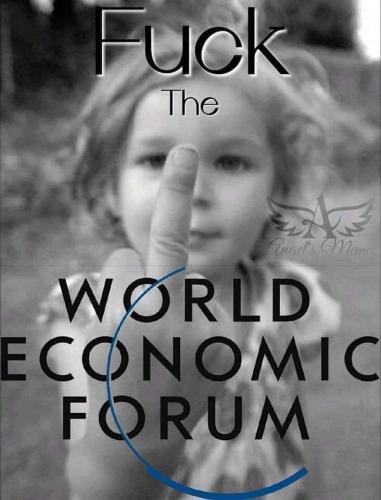 FB_IMG_1675274373541