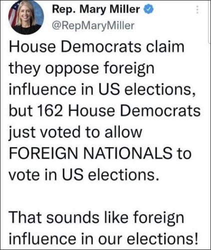 allow foreign nationals to vote00