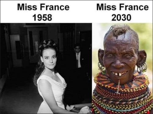 france15