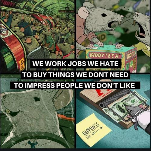 Screenshot_20230209_075348_Chrome