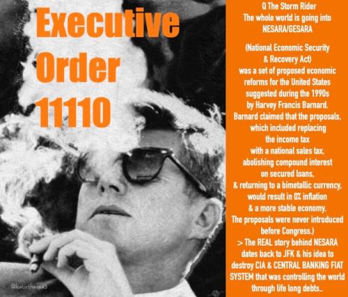 QTSR-JFK-NESARA-Kat-copy