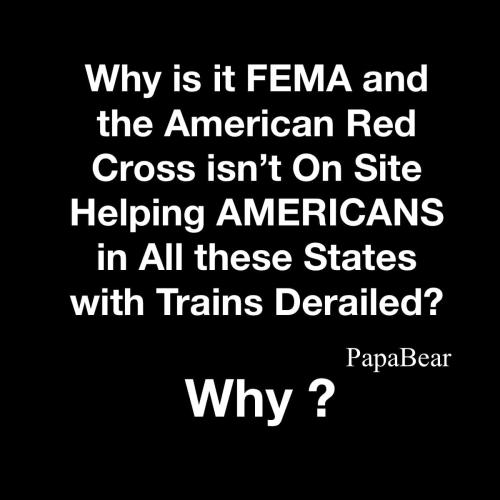 331624992_875878543680383_5133826640644234924_n