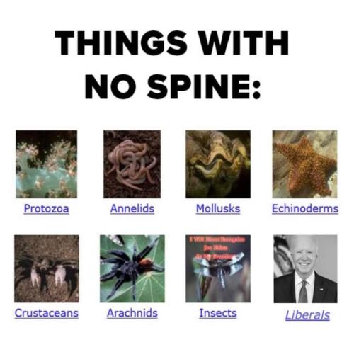 FB_IMG_1675651053516