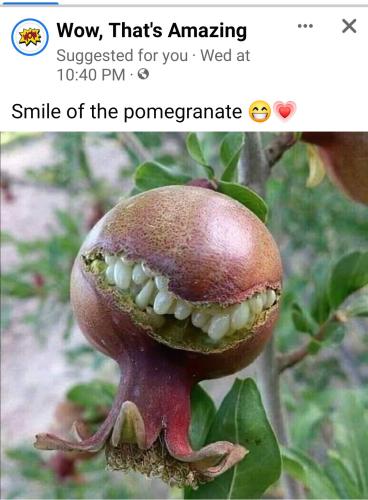 12:47:31 GMT-0500 (EST)