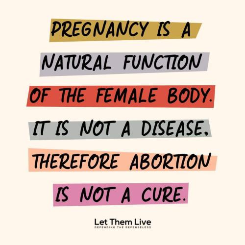 FB_IMG_1677289242363