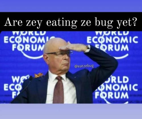 Screenshot_20230210_212024_YouTube