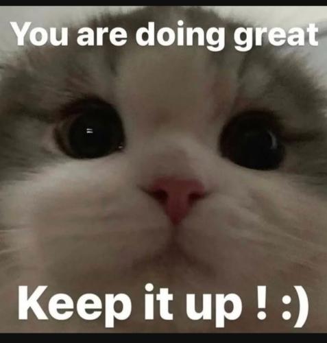 Screenshot_20230220_003959_YouTube