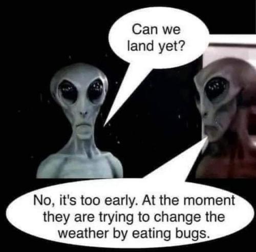 FB_IMG_1676135048742