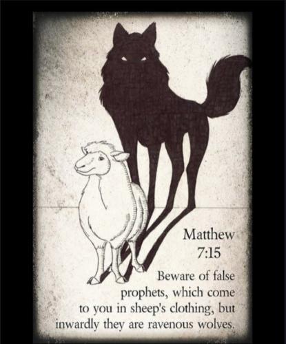 Screenshot_20230209_074807_Chrome