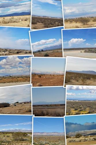 FB_IMG_1675995372325