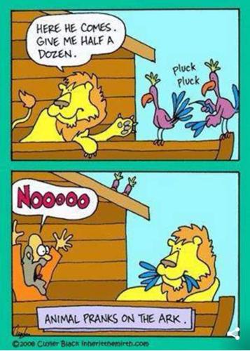 FB_IMG_1650891432781