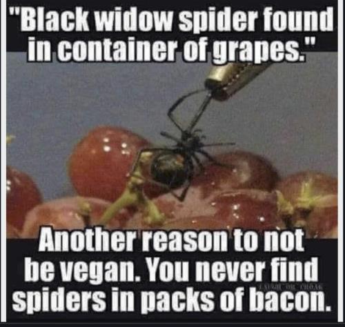 Screenshot_20230221_173839_Chrome