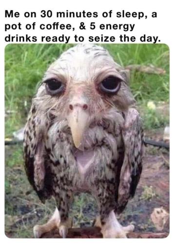 8a255e29-e32e-4729-a535-3ce5445cd2d7