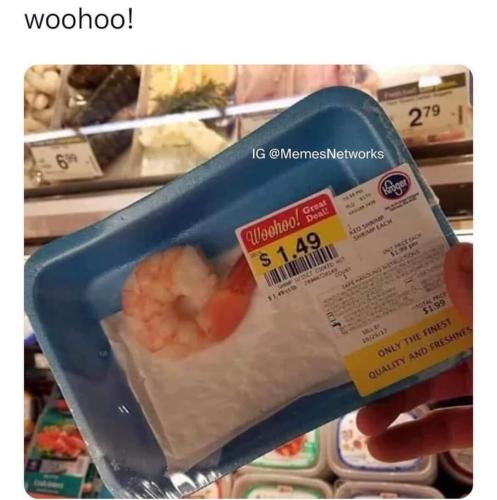 FB_IMG_1677521063017