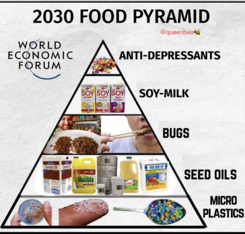 Screenshot_20230226-181001~2