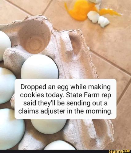 FB_IMG_1675564384765