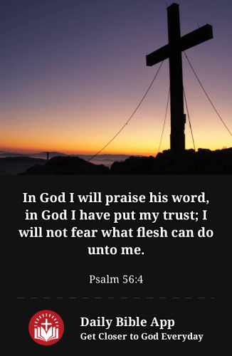 2023-01-311675217368901