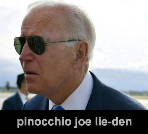biden1203