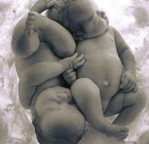 A3FADCC6-13FD-4137-AA05-599DE889496B