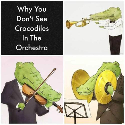 why you dont see