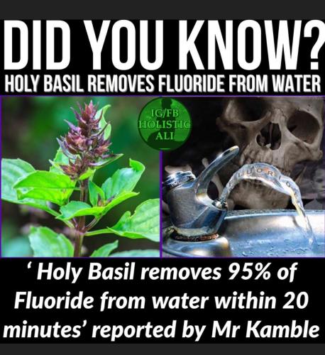 20:14:07 GMT-0500 (EST)