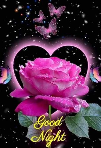 51cCp52jAWL._AC_AC_SR98,95_