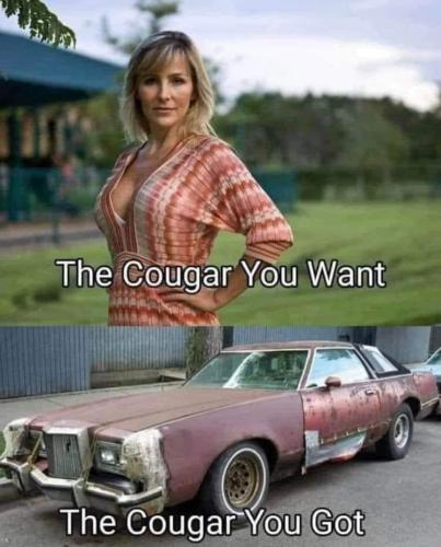 327158210_885382432610421_8662078768619609027_n