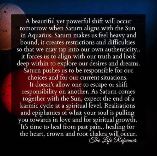 51cCp52jAWL._AC_AC_SR98,95_