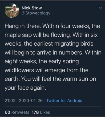 19:46:18 GMT-0600 (CST)