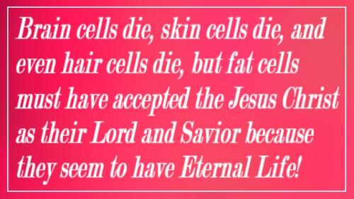 photo_2023-02-13_20-32-57