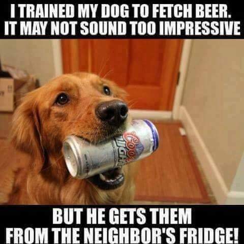 FB_IMG_1676159051023