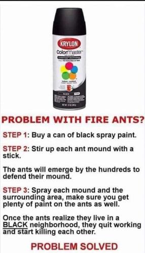 FB_IMG_1676914853420