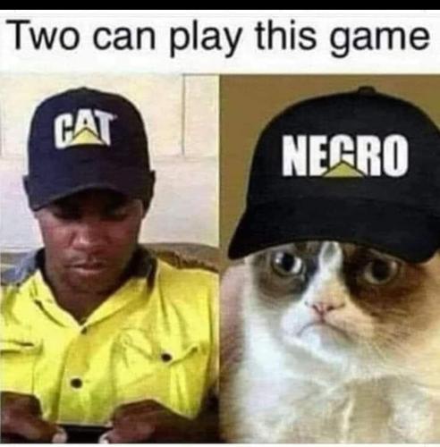 FB_IMG_1675701742745