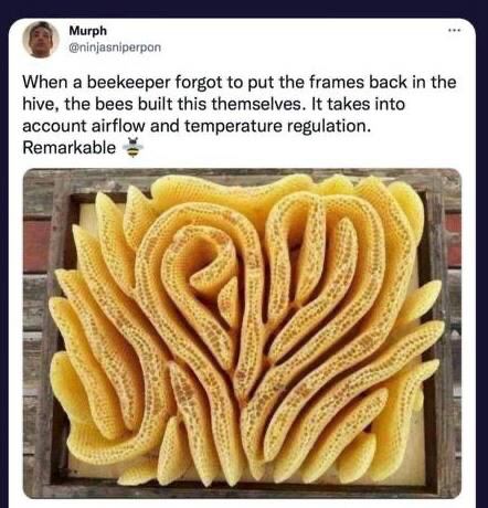 IMG_20230206_032904_652