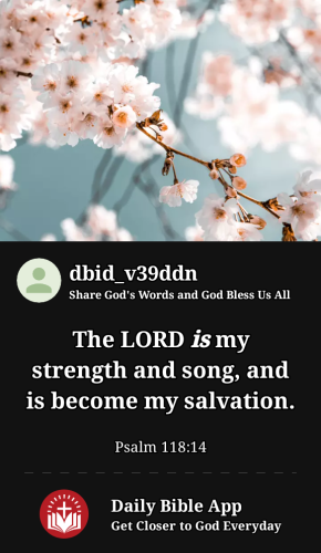 2023-02-131676345151986