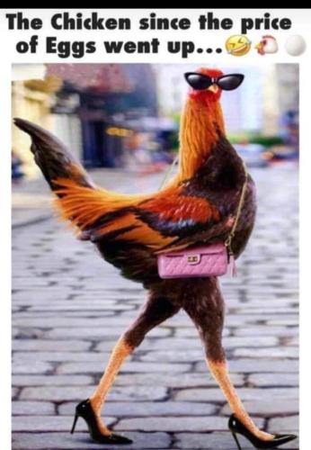 Screenshot_20230204_234747_WhatsApp