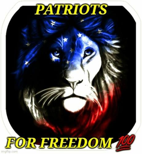Patriots 1