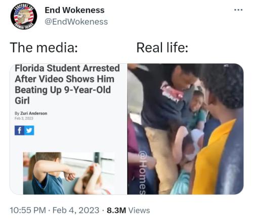 Media 1